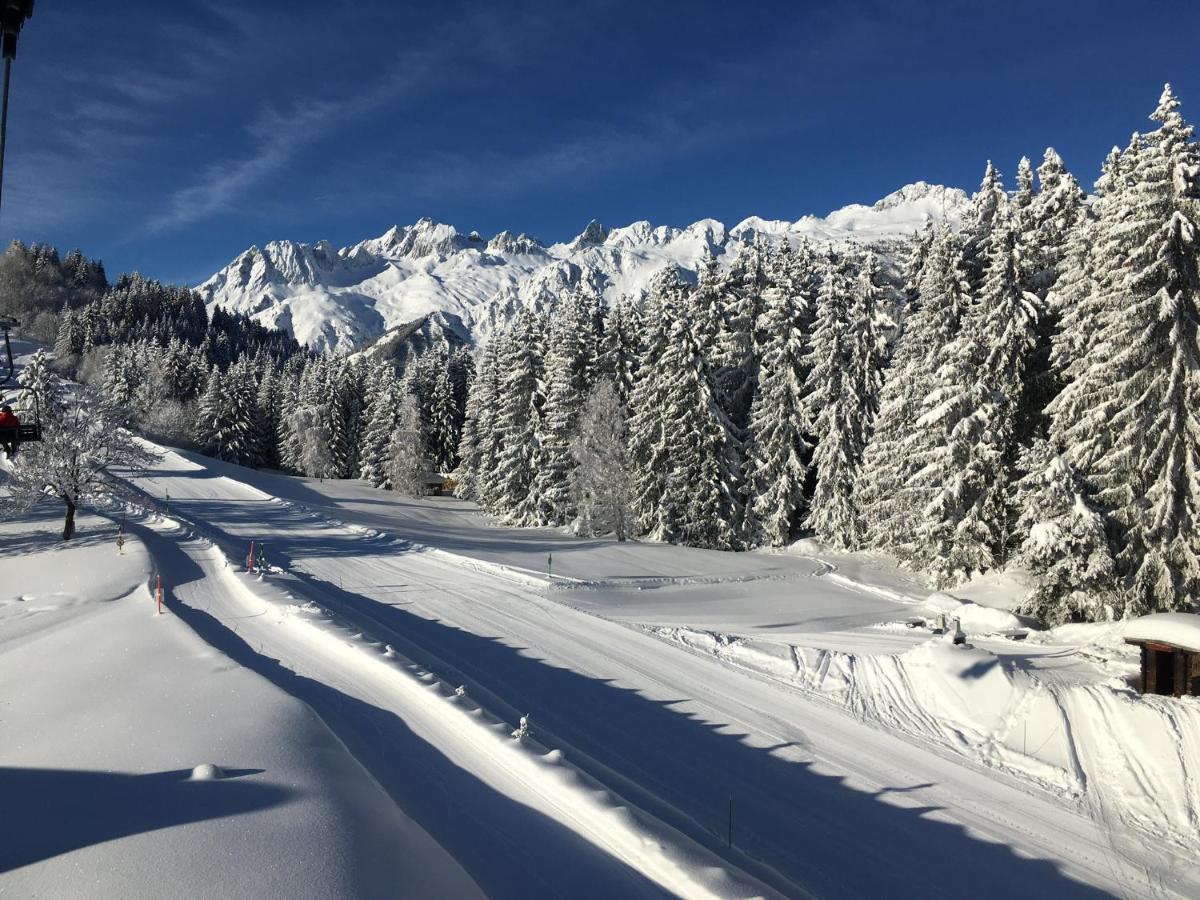 Chalet Confidentiel Valmorel - Chalet De Haut De Gamme 4 Etoiles 12 Personnes Doucy Luaran gambar