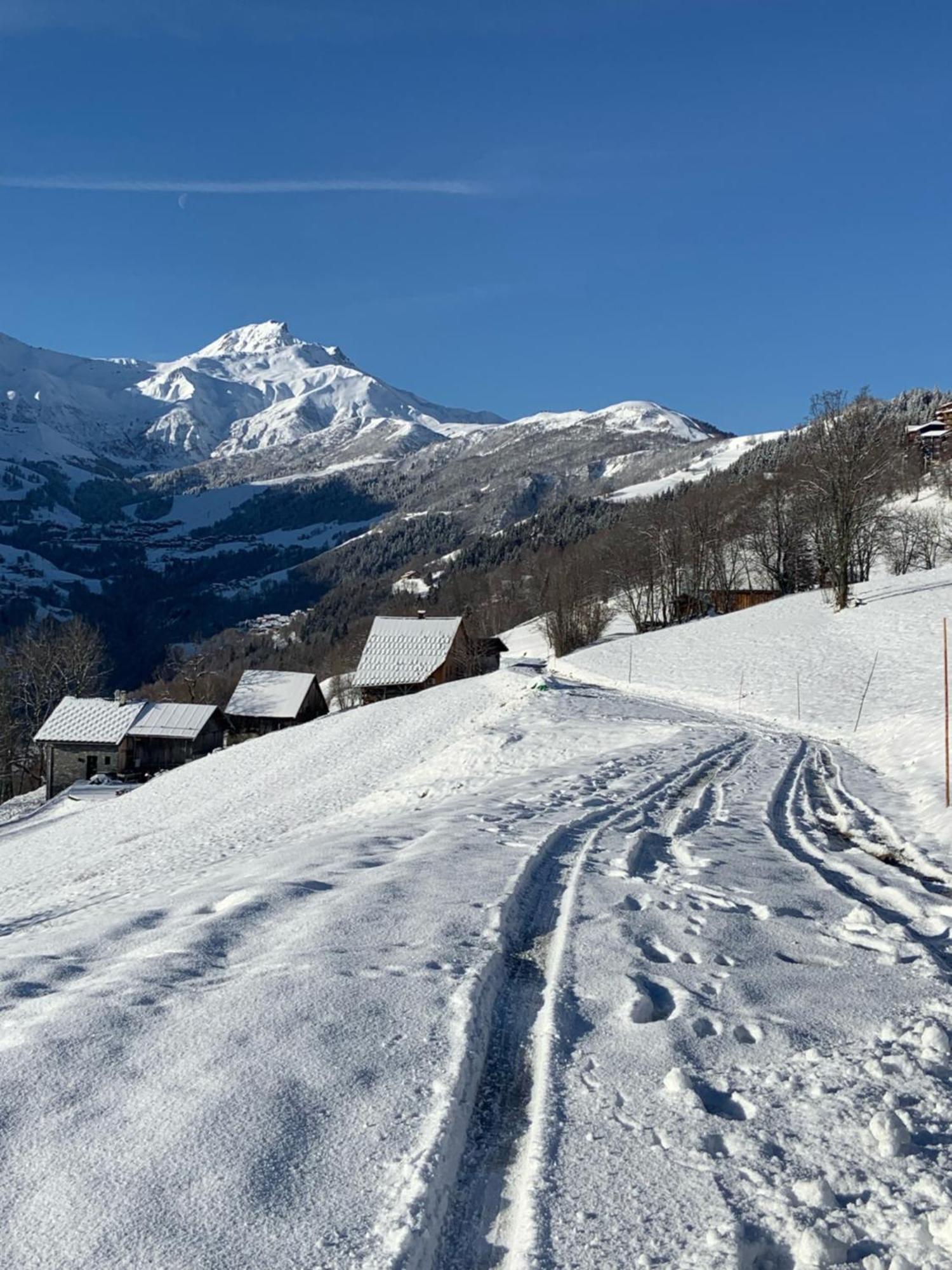 Chalet Confidentiel Valmorel - Chalet De Haut De Gamme 4 Etoiles 12 Personnes Doucy Luaran gambar